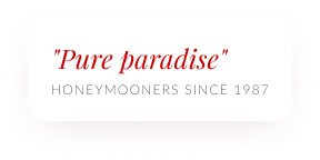 Pure Paradise